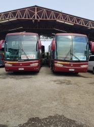 Buses exterior