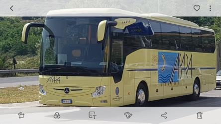 Asara front and side bus