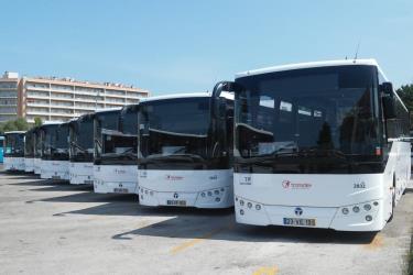 Buses for the former Lousa railway line
