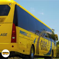 Bus Exterior