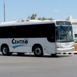 Bus exterior