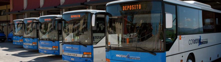 ATMA Ancona buses