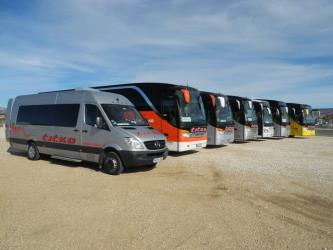 Bus