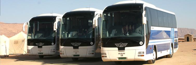 Fleet of buses front view