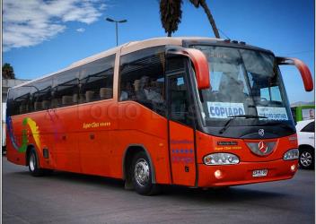 Bus Exterior