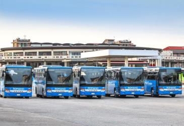 Autolinee Romano buses