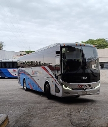 Bus exterior