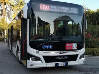 Bus front view