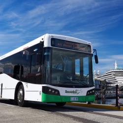 Bus exterior