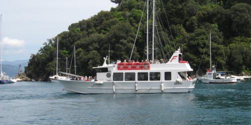 Ferry Sciacchetra