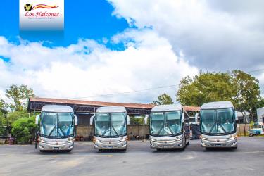 Bus Exterior