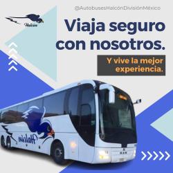Bus exterior