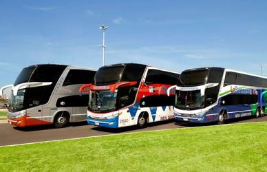 Bus Fleet