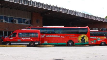 Bus Fleet