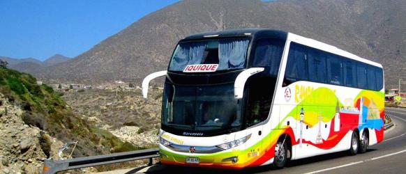 Bus Exterior