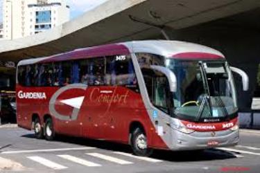 Bus exterior