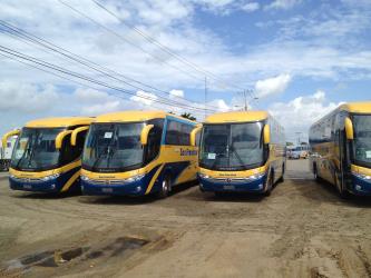 Bus Fleet