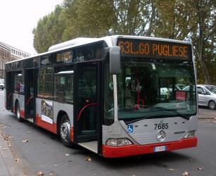 Roma bus
