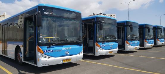 Bus Fleet