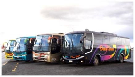 Buses Exterior