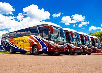 Bus Fleet