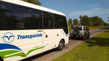 Bus Exterior