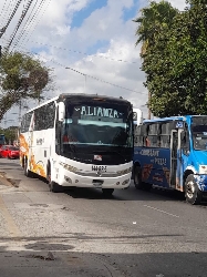 Bus Exterior