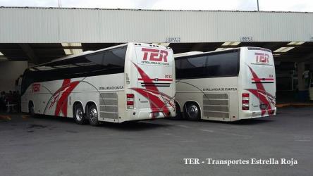 Bus Exterior