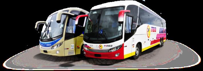 Buses exterior