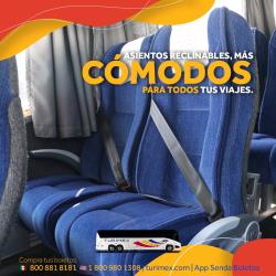 Bus Interior