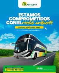 Bus exterior