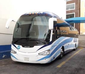 Bus exterior