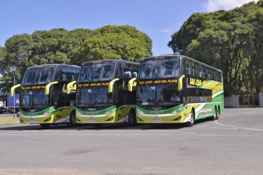 Bus Fleet