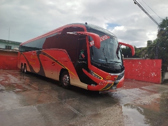 Bus exterior