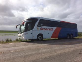 Bus exterior