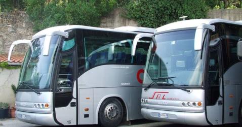 Bus fronts