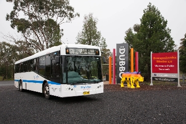 Dubbo Buslines