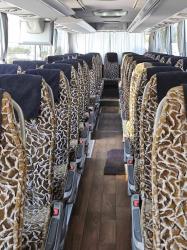 Bus Exterior