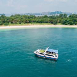 MSF Ferry