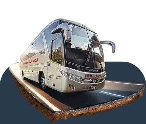 Bus Exterior