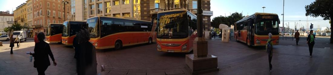 City Bus