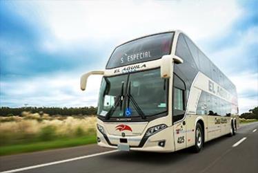 Bus Exterior