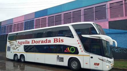 Bus Exterior