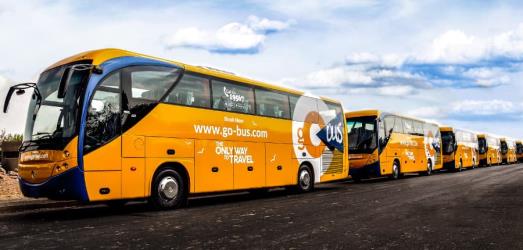 Bus Fleet