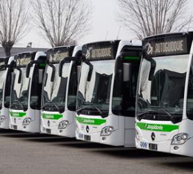 Bus exterior