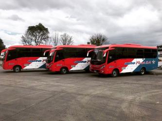 Bus Fleet