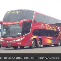 Bus exterior