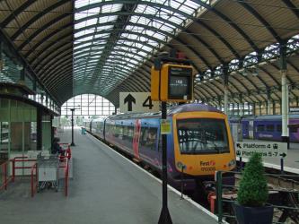 Hull Paragon