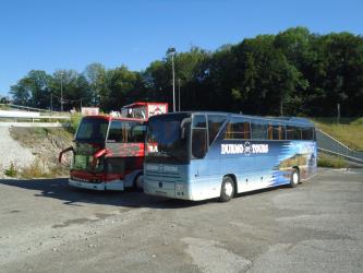 Durmo tours buses