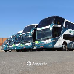 Buses Exterior